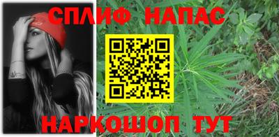 сатива Краснодар