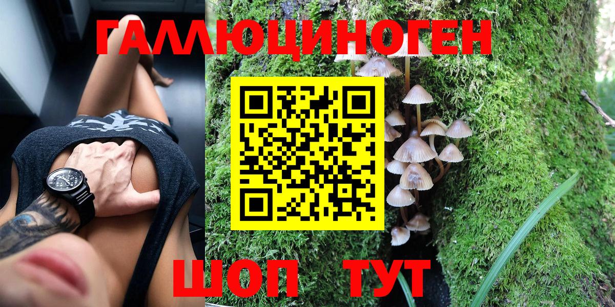 Псилоцибиновые грибы Psilocybe Аксай