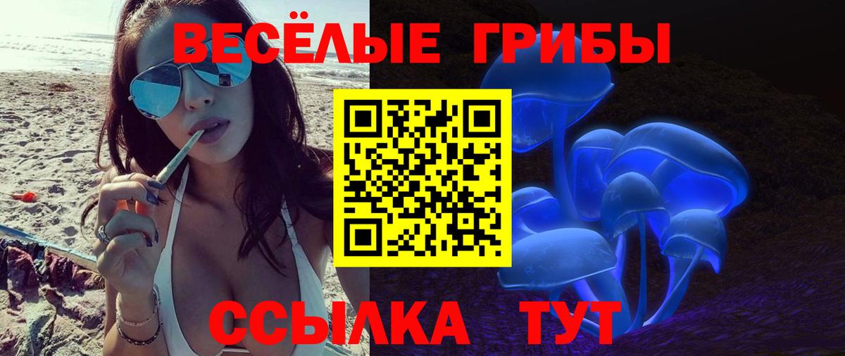 Псилоцибиновые грибы Psilocybine cubensis  Вход с VPN  Аксай 